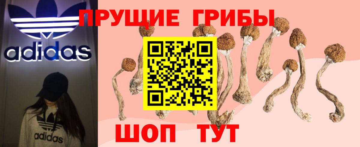 Псилоцибиновые грибы мицелий  Галлюциногенные грибы Cubensis  Ахтубинск  Вход с VPN 